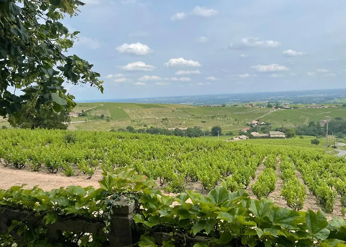 Roulotte Et Gite De Chiroubles